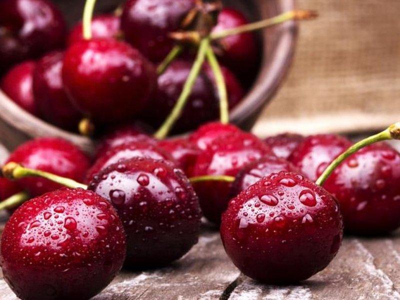 Вишня купить саженцы из питомника в Петропавловске-Камчатском
